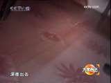 [大家看法]香火(2009.09.23)