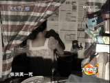 [大家看法]她撒了一个谎(2009.09.24)