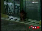 [����]����͡�����(2009.10.16)