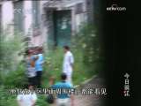 吉林通化打黑纪实_CCTV节目官网-CCTV-1_央视网(cctv.com)