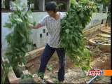 [�Ƽ�Է]����Ӧ����̽��(1)(2009.9.28)