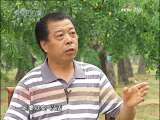 [商道]发现中国管理模式之八 好想你枣业：七十二变小红牛（2009.9.23）