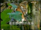 [Ԥ��Ƭ]�������磺������¼ǣ�9��28����10��4�գ�
