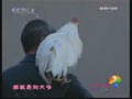 ���糵���°ɡ�����ƽ�����ϰ�