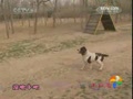 ���糵���°ɡ��߽��Ѿ�Ȯ