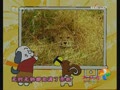 ���糵���°ɡ�ĸ���ޱ�