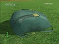 �������ܡ���15�� ����ָ�Ӱ�