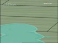 �������桷 ��������ó�
