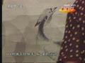 [����]��ʯ����ͼ(2009.05.16)