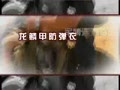 [���ڲ���]δ������֮��������