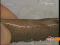 [�Ƽ�Է]�����߲���Ҫ�����ж���
