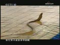 [��ɫ�ռ�]�ߵ��Ȼ� ��(2009.04.02)