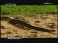 [��ɫ�ռ�]�ߵ��Ȼ� ��(2009.04.03)