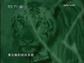 [��ɫ�ռ�]��� ���弯(2009.04.17)