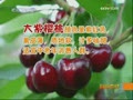 [ÿ��ũ��]����ѡ�Ĵ�ӣ��(2009.6.23)