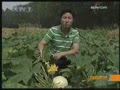[ÿ��ũ��]���ҽ�˿��(2009.6.24)