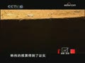 ����ͭǮ�ĵع�̨��