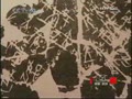 ʷ˵����(2):����׹�