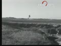 ������ս����45�����ж���Ѫɫ���֦���ϣ�