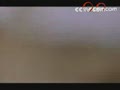 [Ԥ��Ƭ]��ѧ���磺�������������ʮ�����