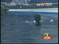 [�Ͷ�����] ���غ������� ������Ȧ