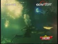 [�Ͷ�����] ���غ������� ����Ԥ��