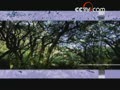 <a href=/video/VIDE1240799280093190 target=_blank>[Ԥ��Ƭ]CCTV-1�����´�ۡ���Ŀ����һ�տ���</a>
