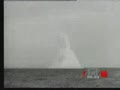 ���������ķ�Ǳս