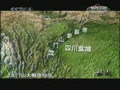 �봨�س� һ��վ�ŵķ���