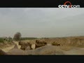 ��ΰ��Ĺ��̡�ϵ��5��18-22�ղ���