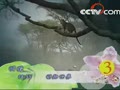 [Ԥ��Ƭ]�������磺�������