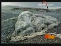 80��ǰ��������������ݵĺ�̲�����¼�