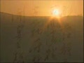 ë���õ籨��ʫ�͸�����