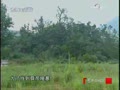 ʯٸ���ƣ��У�