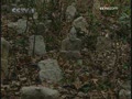 ��Խ�����������ʿ