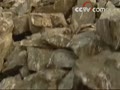[Ԥ��Ƭ]���´�ۣ���Ұ���飨6��22��-26�գ�