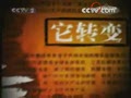 [Ԥ��Ƭ]�й��ƾ����������ڴ��������