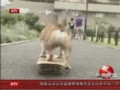 �ᰮ�����С�� ��������һ��