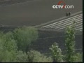 ë��Ϊʲô��Ŀ��Ͷ������أ�