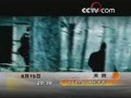[Ԥ��Ƭ]��������������������ͣ�6��15�գ�