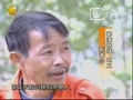 ����UFO���������йֳ�֮��