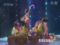 2008�괺���赸�����졷
