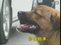 [ʵ��]�ҳ�С��ƴ���ػ�ͬ��