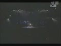 ��Human Nature���ݳ������˶��ܿ�ѷ
