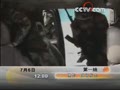 [Ԥ��Ƭ]��һ�ߣ���ը������������7��6�գ�