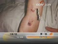 [Ԥ��Ƭ]��һ�ߣ����а���7��7�գ�