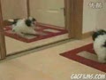 ����С���վ��Ӱ��Լ�ײ��