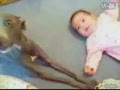 ��Ц��С���������� ��������Ҳ��