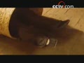 [Ԥ��Ƭ]����Ƶ�����Ӿ磺ǰ��¥�Ӿ��ɾ�