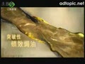��־��  - Ʈ��ϴ��ˮ